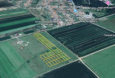 Teren intravilan de vanzare Buzia? - 3
