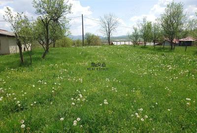 Casă cu 3 camere cu Teren 4977 Mp în Brad - 6