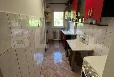 Apartament cu o camera de vanzare, parter inalt, zona linistita, zona Tudor - 3