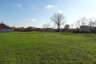 Teren cu casa, 3600mp, 4 camere de vanzare in Nicolae Balcescu - 1