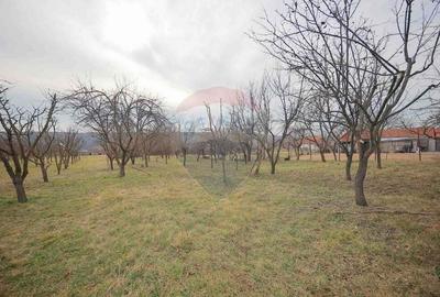 De vanzare Casa + Teren 2685 mp Intravilan, Betfia, Bihor - 5