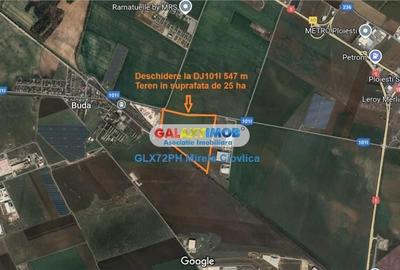 Teren de 250000 mp, în Păulești - 3