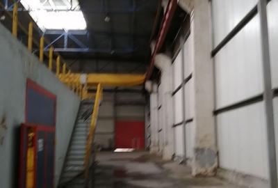 Birouri, spatiu industrial, hale Zona Libera Giurgiu ID 1... - 13