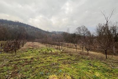 Casă cu 2 camere cu Teren 2149 Mp în Costeni - 8