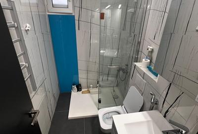 Apartament cu 2 camere semidecomandat, mobilat în Bucureștii Noi - 12