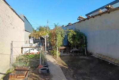 Teren de 247 mp, în Plantelor - 5