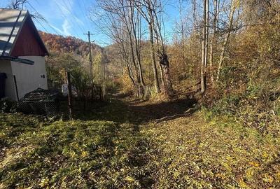 Teren langa pădure 6400mp+casa demolabila-deschidere 35 ml - 18