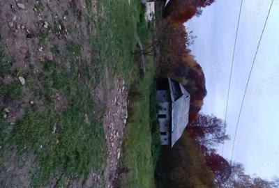 Casă cu 3 camere cu Teren 140000 Mp în Preluca Nouă - 7