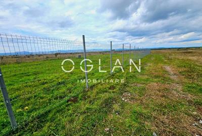 Teren Construcții extravilan de 2400 mp, în Est - 7