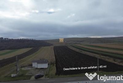 Teren de 14066 mp, în Mihoveni - 11