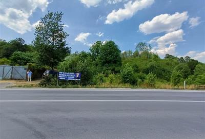 Teren Construcții intravilan de 2000 mp, în Calea Caransebeșului - 16