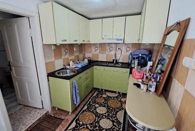 Casă cu 2 camere cu Teren 246 Mp în Pisc - 9