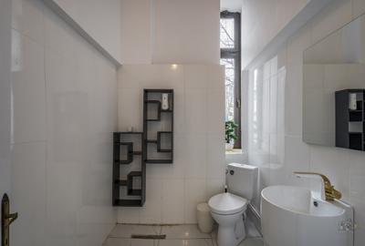 Apartament cu 7 camere semidecomandat în Unirii - 9