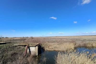 Spațiu comercial, în Sud - 8