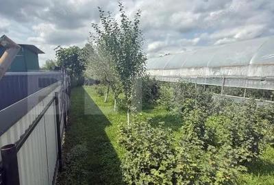 Casă cu 4 camere cu Teren 8000 Mp în Central - 6