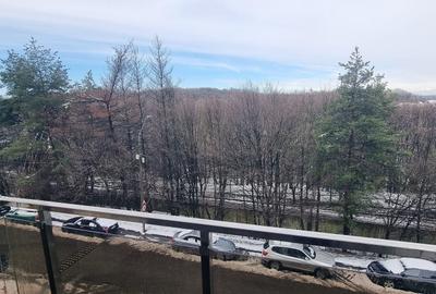 Apartament cu 2 camere decomandat în Teilor - 3