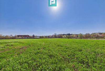 Teren Construcții intravilan de 3024 mp, în Almaș - 4