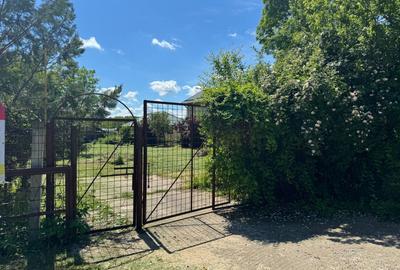 Teren Snagov - Ideal pentru dezvoltare rezidentiala sau investitie! - 1