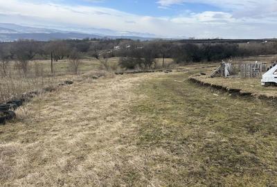 Spațiu comercial, în Central