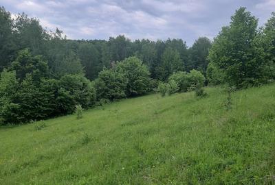 Teren de 2200 mp, în Dăești - 5
