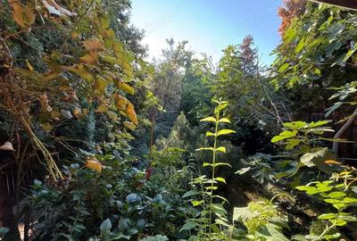 Casa cu 5 camere, 173 mp utili, regim P+1 - zona Centrala - OCAZIE !!! - 3