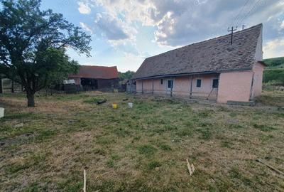 Casă cu 2 camere în Armeni - 2