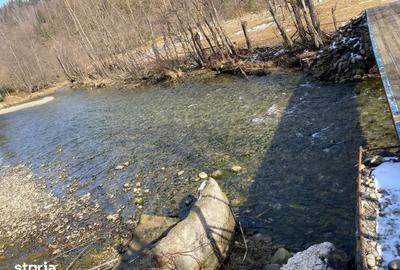 Teren de 2694 mp, în Rucăr - 9