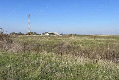 Vand teren intravilan,loc.livada,langa case,ptr.diverse constructii(8500+13744 mp) - 2