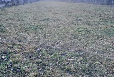 Spațiu comercial, în Breb - 4