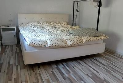 Casă cu 6 camere cu Teren 1800 Mp în Dudeștii Noi - 4
