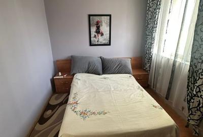 Apartament cu 2 camere semidecomandat, mobilat în Podu Roș - 9