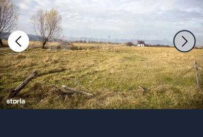 De inchiriat teren - 2