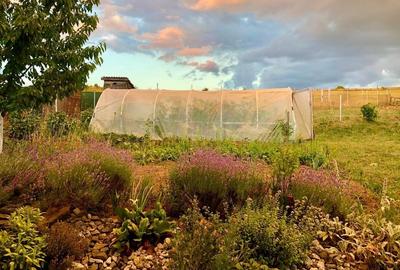 🏡 ☀️Casă familială modernă, spațioasă și luminoasă de vânzare - 10