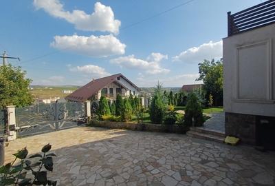 VILĂ CU 5 CAMERE - 150 MP UTILI - BECI, GARAJ, 717 MP TEREN, VIȘAN-BUCIUM - 9