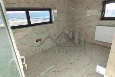 Spatiu comercial Lunca Cetatuii - langa Centura - 11