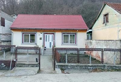 MOLDOVA NOUA, Casa 3 camere, Suprafata totala teren: 274 mp - 14