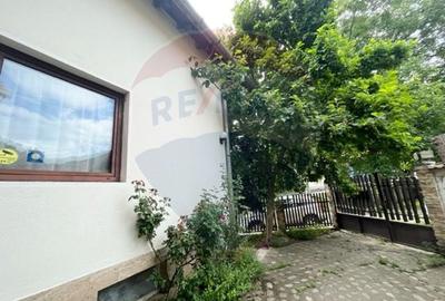 Casă individuală cu 7 camere cu Teren 167 Mp în Sibiel - 13