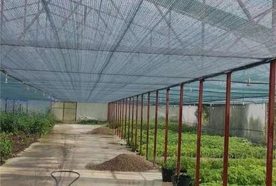 Spațiu comercial, de 1,300 mp, în Blăjenii de Sus - 12