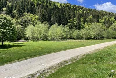 Teren de 7591 mp, în Poiana Mărului - 2