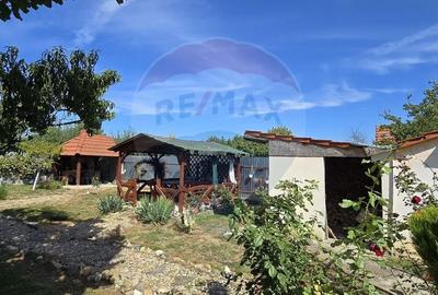 Casa cu etaj deosebita in Chisineu-Cris - un camin creat cu suflet - 31