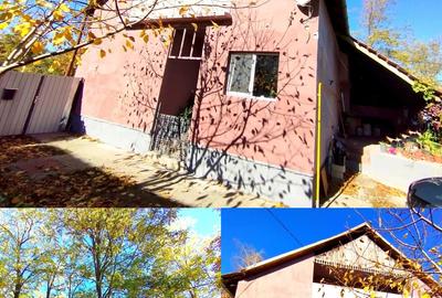 Casă cu 5 camere cu Teren 700 Mp în Turnu - 8