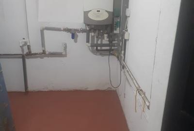 Decebal.Dristorului,vila cu 3 cam,subsol parter,et.1+mansarda,centrala,mobilata - 14