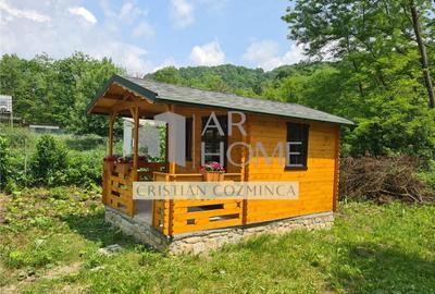 Teren cu constructii Cosmina de Sus - Foisor, baie, cabanuta - 9