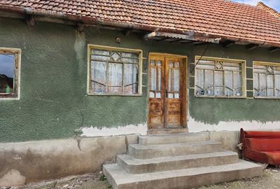 Vand casa Tau?, Arad - 3