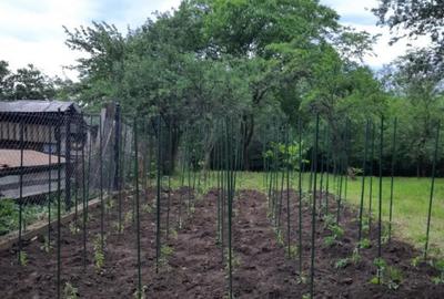 Teren de 1211 mp, în Dumbrăvești - 3