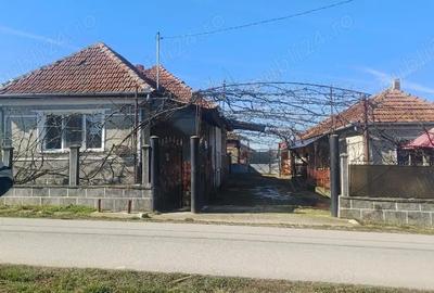 Casă cu 3 camere cu Teren 1013 Mp în Bogei - 5