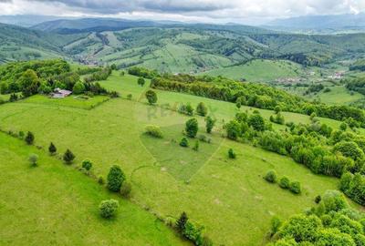 Teren de vanzare 5,755mp/ Sita Buzaului