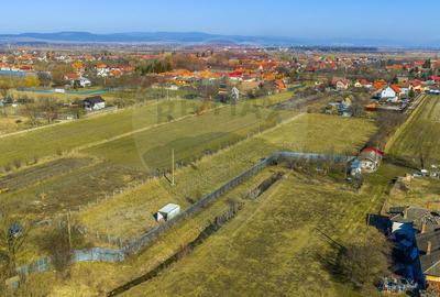 Teren agricol intravilan de 5000 mp, în Prejmer - 4