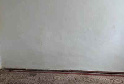 Casă cu 3 camere cu Teren 1877 Mp în Movila - 10