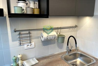 Garsoniera renovata modern str Nada Florilor - Teiul Domnei - 8